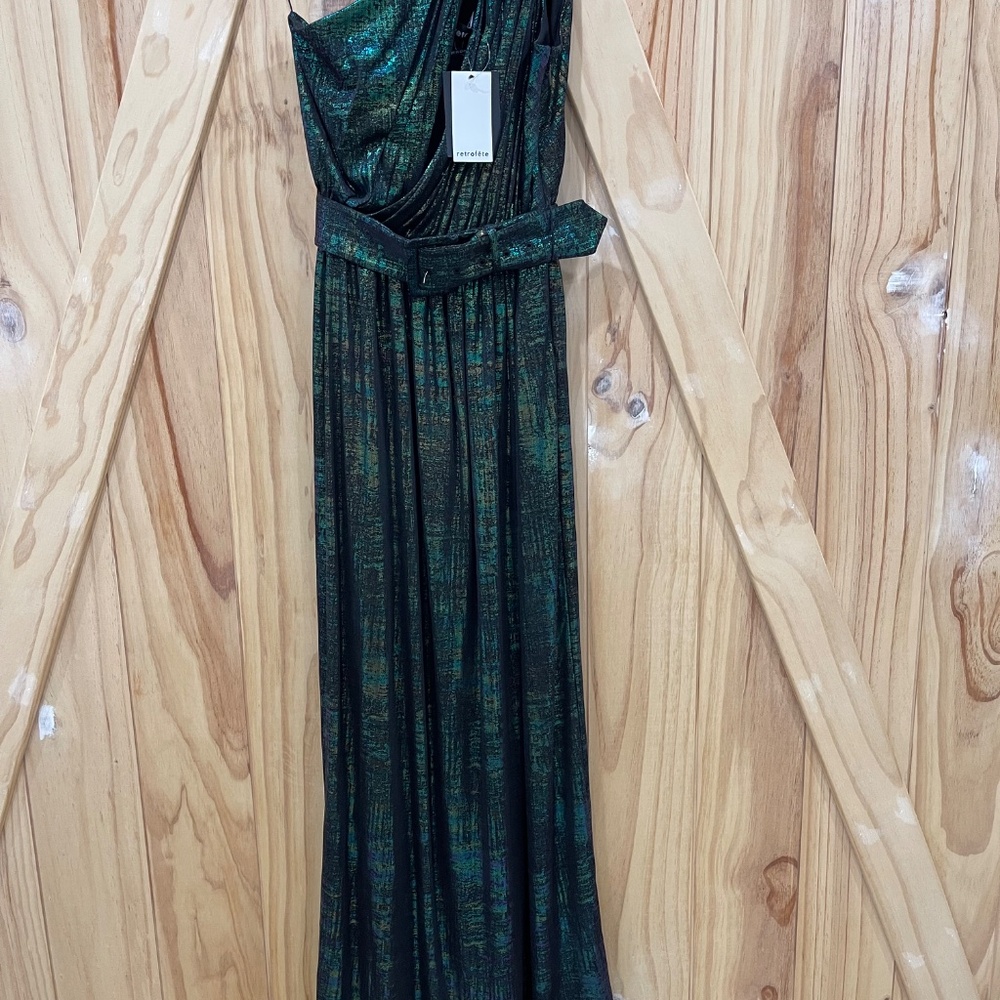 Retrofete Andrea Maxi Dress - Picture 4 of 7